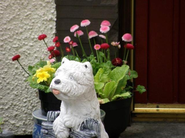 Kettle House B&B Fort Augustus Kültér fotó